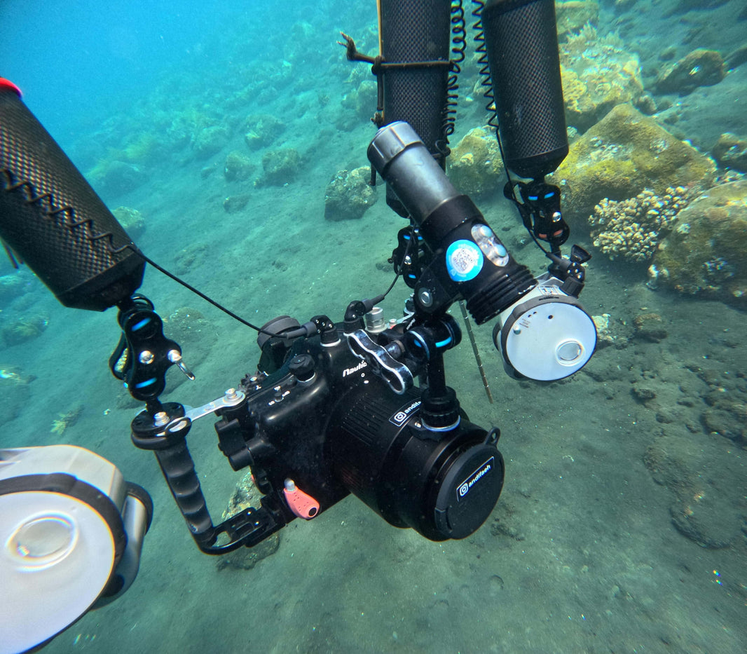 Härtetest bestanden: So sichert Unterwasserfotograf Andi Fäh sein Equipment